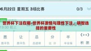 世界杯下注在哪-世界杯激情与理性下注，明智选择的重要性