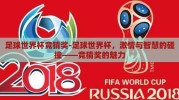 足球世界杯竞猜奖-足球世界杯，激情与智慧的碰撞——竞猜奖的魅力