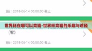 世界杯在哪可以竞猜-世界杯竞猜的乐趣与途径