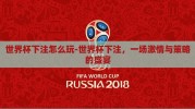 世界杯下注怎么玩-世界杯下注，一场激情与策略的盛宴