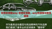 世界杯竞猜wey-世界杯竞猜，wey的激情与智慧碰撞