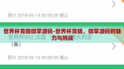 世界杯竞猜微擎源码-世界杯竞猜，微擎源码的魅力与挑战
