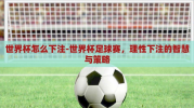 世界杯怎么下注-世界杯足球赛，理性下注的智慧与策略