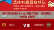 世界杯竞猜用什么app-世界杯竞猜，选择最佳App的智慧指南
