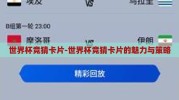 世界杯竞猜卡片-世界杯竞猜卡片的魅力与策略