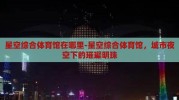 星空综合体育馆在哪里-星空综合体育馆，城市夜空下的璀璨明珠