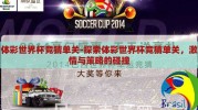 体彩世界杯竞猜单关-探索体彩世界杯竞猜单关，激情与策略的碰撞