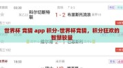 世界杯 竞猜 app 积分-世界杯竞猜，积分狂欢的智慧较量