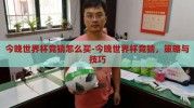 今晚世界杯竞猜怎么买-今晚世界杯竞猜，策略与技巧