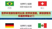 世界杯竞猜在哪可以买-世界杯竞猜，解锁激情与乐趣的神秘之门