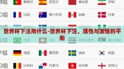 世界杯下注用什么-世界杯下注，理性与激情的平衡