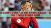 微信世界杯小组赛竞猜-微信世界杯小组赛竞猜，社交狂欢与足球激情的完美碰撞