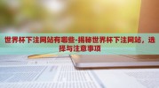 世界杯下注网站有哪些-揭秘世界杯下注网站，选择与注意事项