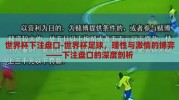 世界杯下注盘口-世界杯足球，理性与激情的博弈——下注盘口的深度剖析