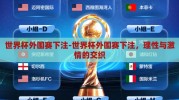 世界杯外围赛下注-世界杯外围赛下注，理性与激情的交织