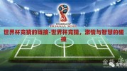 世界杯竞猜的链接-世界杯竞猜，激情与智慧的碰撞