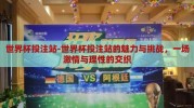 世界杯投注站-世界杯投注站的魅力与挑战，一场激情与理性的交织