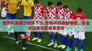 世界杯用哪个软件下注-世界杯观赛新体验，安全合法地享受赛事激情