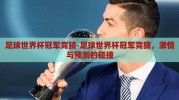 足球世界杯冠军竞猜-足球世界杯冠军竞猜，激情与预测的碰撞