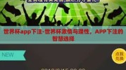 世界杯app下注-世界杯激情与理性，APP下注的智慧选择