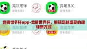 竞猜世界杯app-竞猜世界杯，解锁足球盛宴的趣味新方式