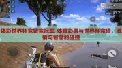 体彩世界杯竞猜竞冠军-体育彩票与世界杯竞猜，激情与智慧的碰撞