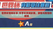 世界杯竞猜彩票-世界杯竞猜彩票，激情与智慧的碰撞