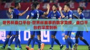 世界杯盘口平台-世界杯赛事的数字竞技，盘口平台的深度剖析