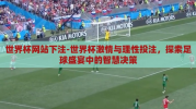 世界杯网站下注-世界杯激情与理性投注，探索足球盛宴中的智慧决策