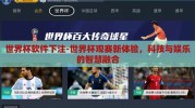 世界杯软件下注-世界杯观赛新体验，科技与娱乐的智慧融合