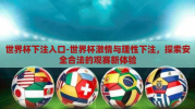 世界杯下注入口-世界杯激情与理性下注，探索安全合法的观赛新体验