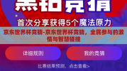 京东世界杯竞猜-京东世界杯竞猜，全民参与的激情与智慧碰撞