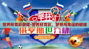 世界杯竞彩获奖-世界杯竞彩，梦想与幸运的碰撞