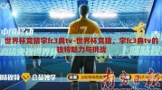 世界杯竞猜宇fc3典tv-世界杯竞猜，宇fc3典tv的独特魅力与挑战