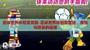 足球世界杯冠军竞猜-足球世界杯冠军竞猜，激情与预测的碰撞