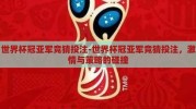 世界杯冠亚军竞猜投注-世界杯冠亚军竞猜投注，激情与策略的碰撞