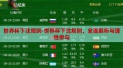 世界杯下注规则-世界杯下注规则，全面解析与理性参与