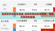 足球世界杯冠军竞猜-足球世界杯冠军竞猜，激情与预测的碰撞