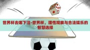 世界杯去哪下注-世界杯，理性观赛与合法娱乐的智慧选择