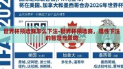 世界杯预选赛怎么下注-世界杯预选赛，理性下注的智慧与策略