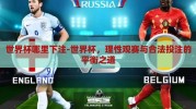 世界杯哪里下注-世界杯，理性观赛与合法投注的平衡之道