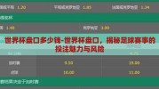 世界杯盘口多少钱-世界杯盘口，揭秘足球赛事的投注魅力与风险