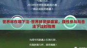 世界杯在哪下注-世界杯足球盛宴，理性参与与合法下注的指南