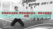 世界杯投注竞彩-世界杯竞彩投注，激情与策略的碰撞