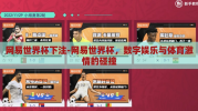 网易世界杯下注-网易世界杯，数字娱乐与体育激情的碰撞