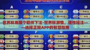 世界杯用哪个软件下注-世界杯激情，理性投注——选择正规APP的智慧指南