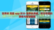 世界杯 竞猜 app 积分-世界杯竞猜，积分乐园的激情与智慧碰撞