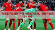 在哪里下注世界杯-寻找最佳下注点，世界杯的激情与策略