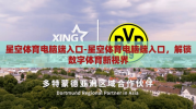 星空体育电脑端入口-星空体育电脑端入口，解锁数字体育新视界