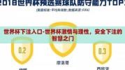 世界杯下注入口-世界杯激情与理性，安全下注的智慧之门